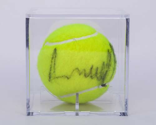 Andy Murray autographed Wimbledon tennis ball, 2013