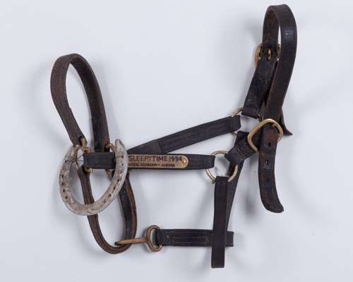 Head collar of the 1,000 Guineas winner and broodmare Sleepytime