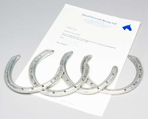 Desert Orchid racing plates worn when he won the Cheltenham Gold Cup, on 16th March 1989,
 aluminium racing plates, with letter of authentication from