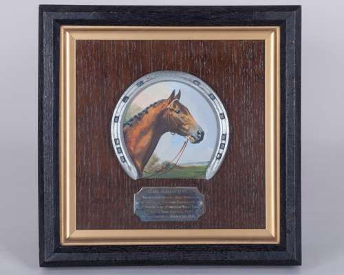 Racing plate worn by Solario