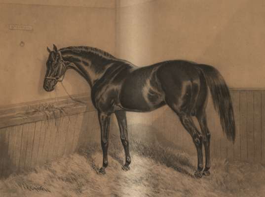 After Alfred Charles Havell (British, 1855-1928) portrait of  'St Simon' in his stable,
 engraving, signed by A.C. Havel in pencil on lower margin wit