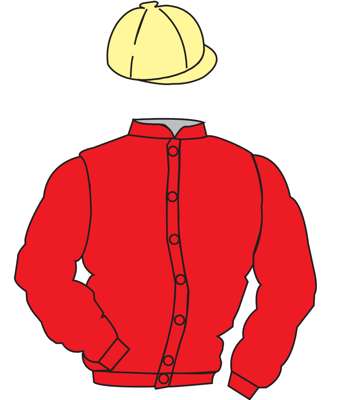 The British Horseracing Authority Sale of Racing Colours: RED, STRAW cap