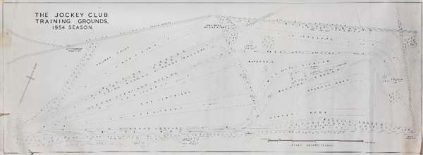 A trio of plans of the Jockey Club Training Grounds at Newmarket for the 1954 season, drawn to the scale of 100 yards to 1 inch, the largest (68 by 99