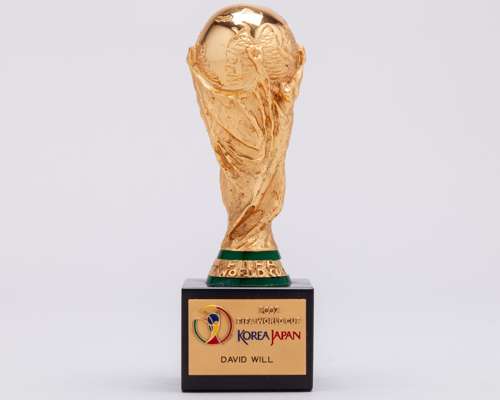 David Will - Korea/Japan 2002 FIFA World Cup miniature replica