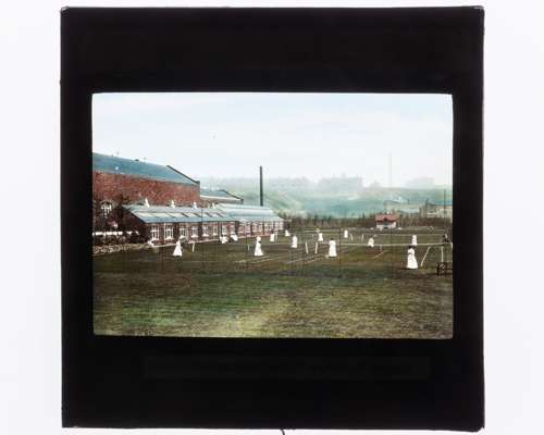 Royalty at Wimbledon a glass plate negative depicting Royal visit, June 1907