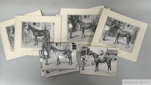 A group of original photographs relating to racehorses owned by Mrs Marion Glenister,
 owner of Nimbus the 2,000 Guineas and Derby winner, by R Anscom