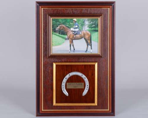 Racing plate worn by the 1984 Oaks winner Circus Plume