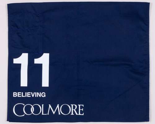 No.11 number cloth worn by Believing in the 2024 Nunthorpe Stakes at York