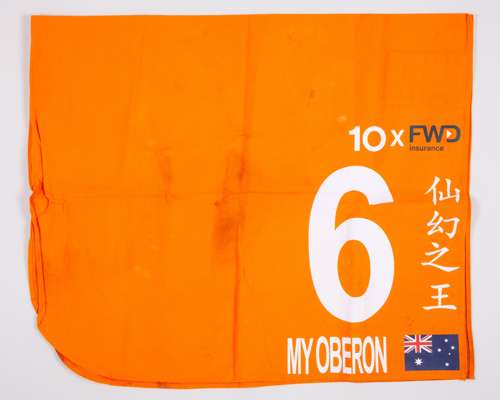 No.6 number cloth worn by My Oberon in the 2023 FWD Champions Mile at Sha Tin Hong Kong