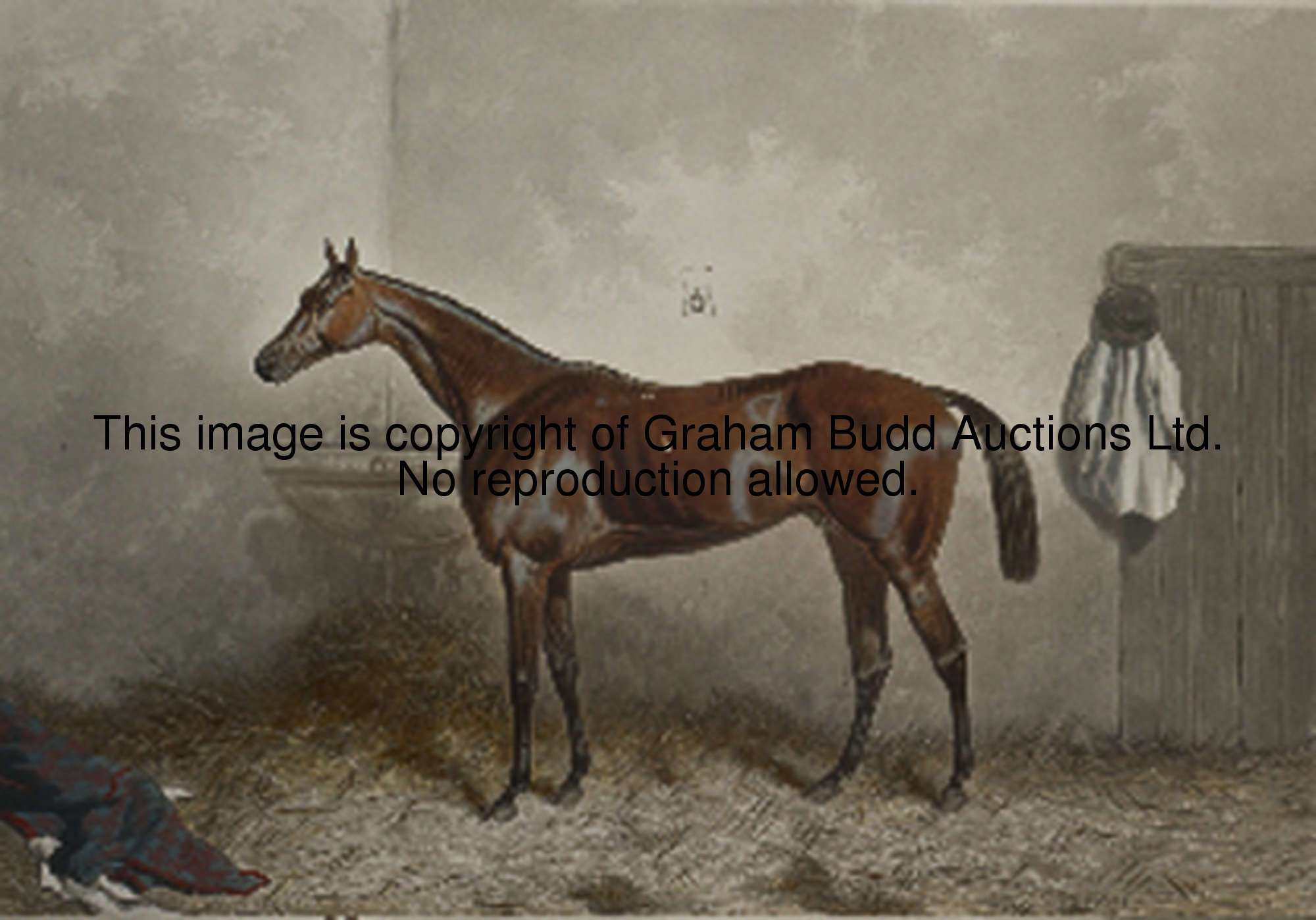 0001_iXqWEE.JPG
