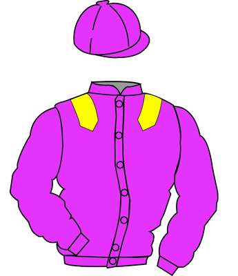 The British Horseracing Authority Sale of Racing Colours: CERISE, YELLOW epaulets

The British Horseracing Authority 

Sale of Racing Colours 

Lots 1