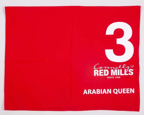 No.3 number cloth race-used by Arabian Queen in the 2014 Cheveley Park Stakes at Newmarket