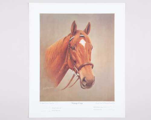 Autographed print of the racehorse Vintage Crop