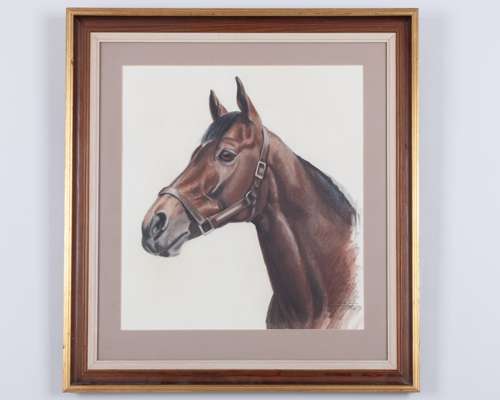 Adriana Zaefferer (b. Argentina 1952) pastel portrait of the racehorse Brigadier Gerard