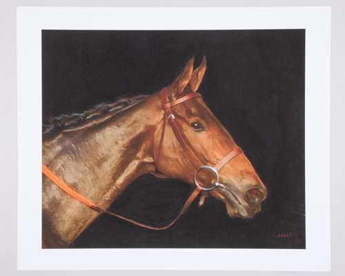 Group of five limited edition horse racing prints