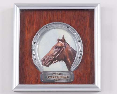 Racing plate worn by Ajdal, the 1987 Champions Sprinter