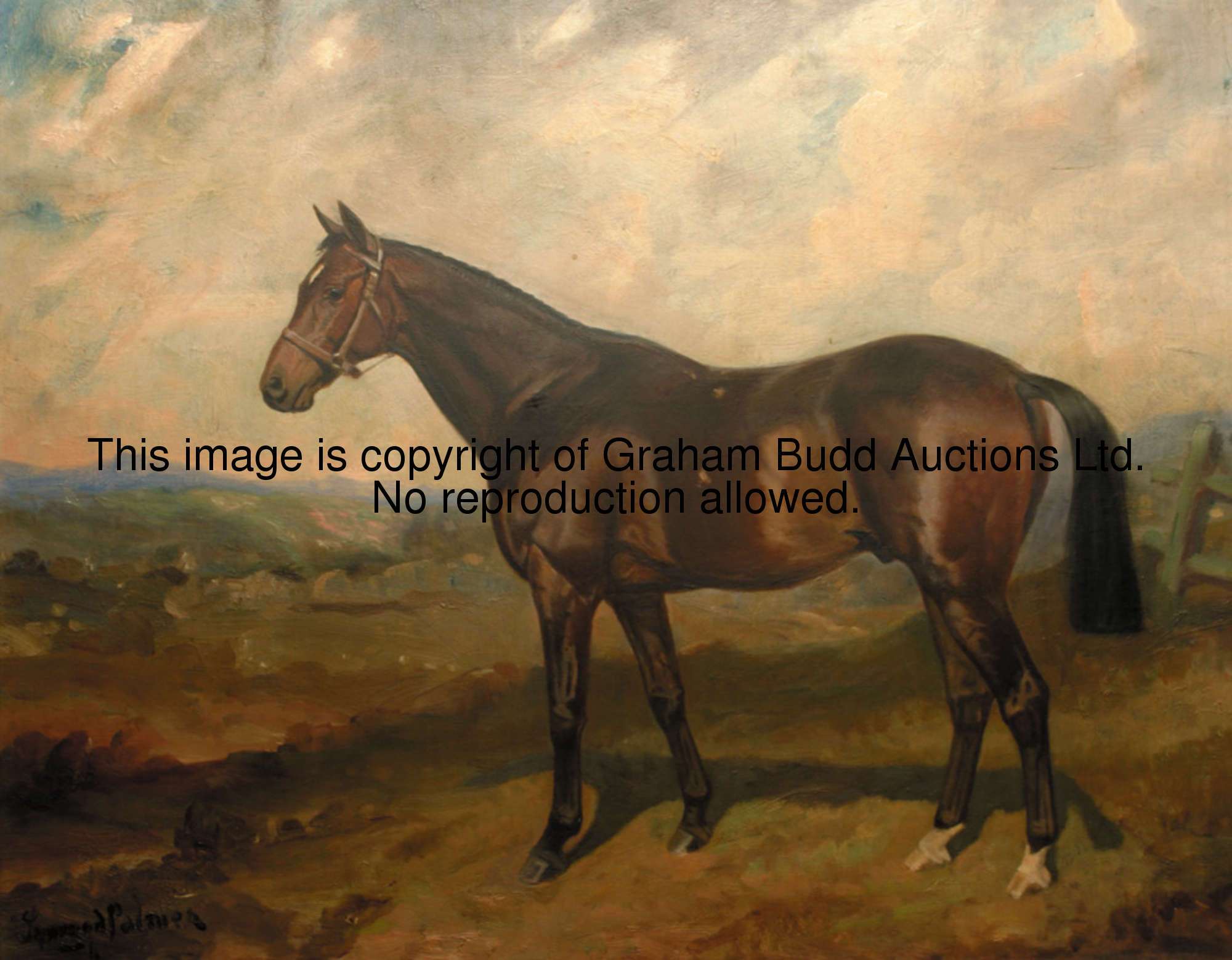 0001_qOEbmp.JPG