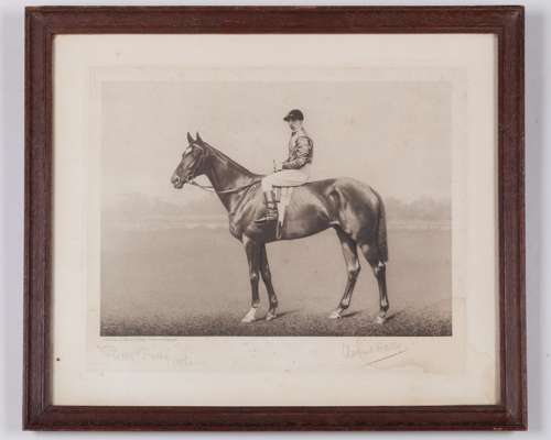 A Clarence Hailey of Newmarket signed photogravure of the racehorse Pretty Polly,