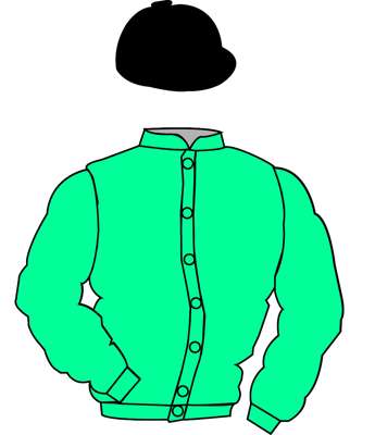 The British Horseracing Authority Sale of Racing Colours: AQUAMARINE, BLACK cap

The British Horseracing Authority 

Sale of Racing Colours 

Lots 121