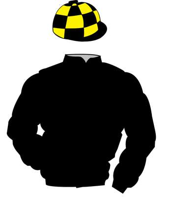 The British Horseracing Authority Sale of Racing Colours: BLACK, BLACK and YELLOW check cap

The British Horseracing Authority 

Sale of Racing Colour