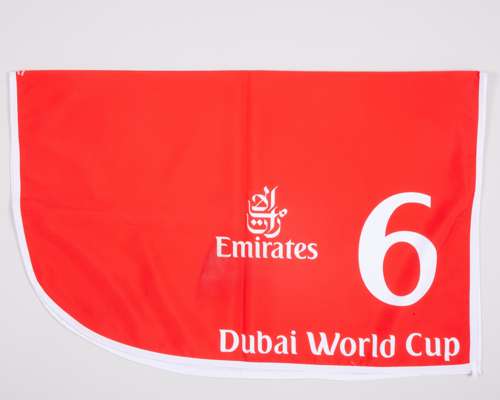 No.6 number cloth worn by the 2011 Dubai World Cup winner Victoire Pisa