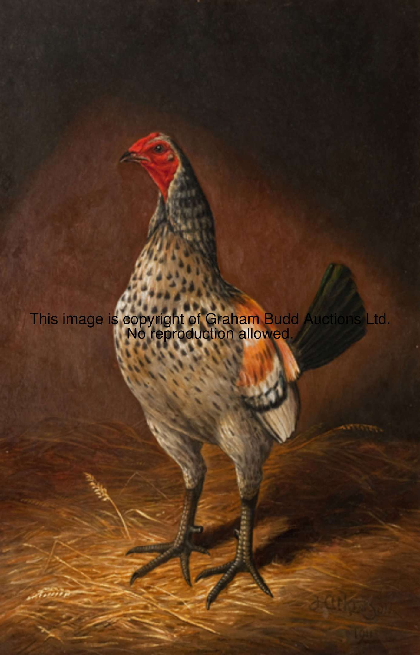 0001_ulYiiV.JPG