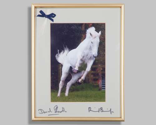 Desert Orchid photograph presentation mounted with a lock of tail hair and with autographs