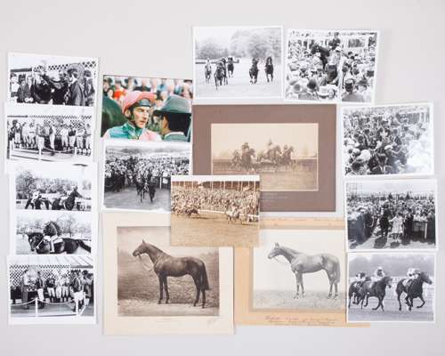 Horse racing photography