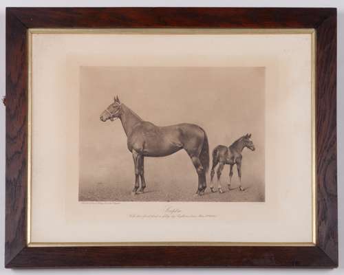 Clarence Hailey of Newmarket photogravure of the mare Sceptre and her foal