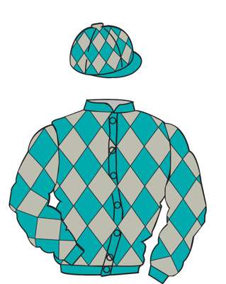 The British Horseracing Authority Sale of Racing Colours: TURQUOISE and SILVER diamonds