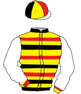 The British Horseracing Authority Sale of Racing Colours: YELLOW, RED & BLACK hoops, WHITE sleeves, RED & YELLOW cuffs, RED, BLACK & YELLOW segmented 