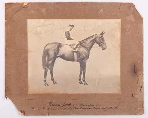 Steve Donoghue signed photograph by W W Rouch