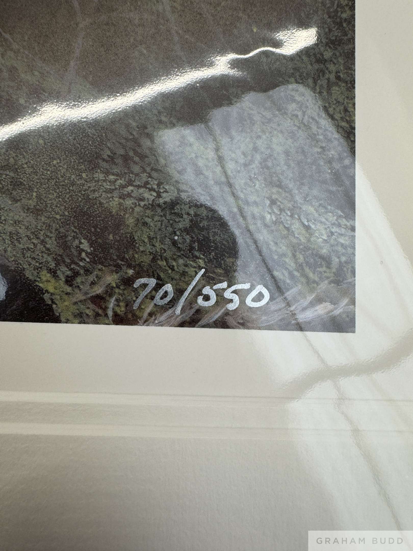 0005_yhtRqr.jpeg