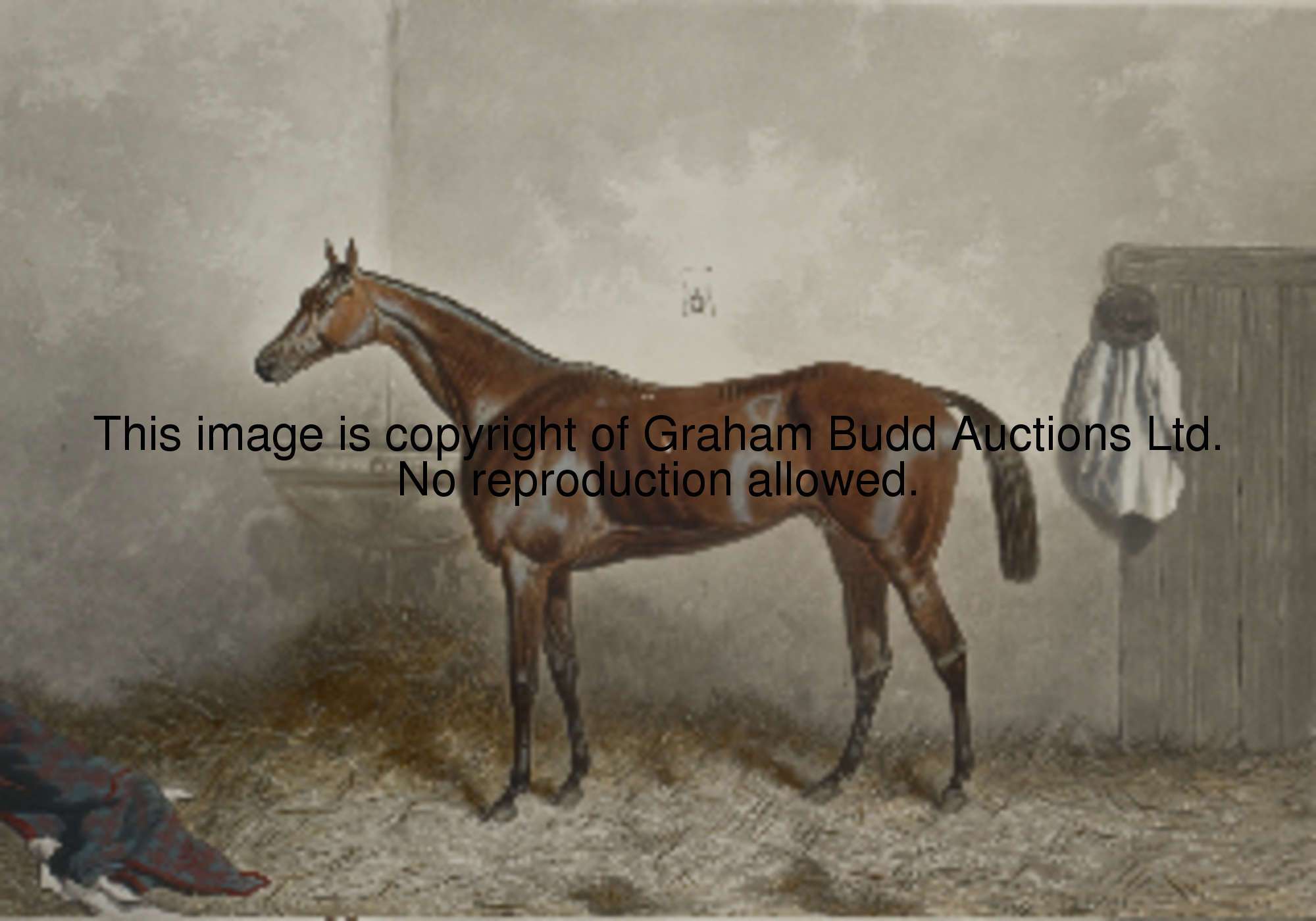 0001_noAClS.JPG