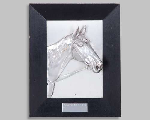 The Coolmore Castle Hyde Studs Trophy
