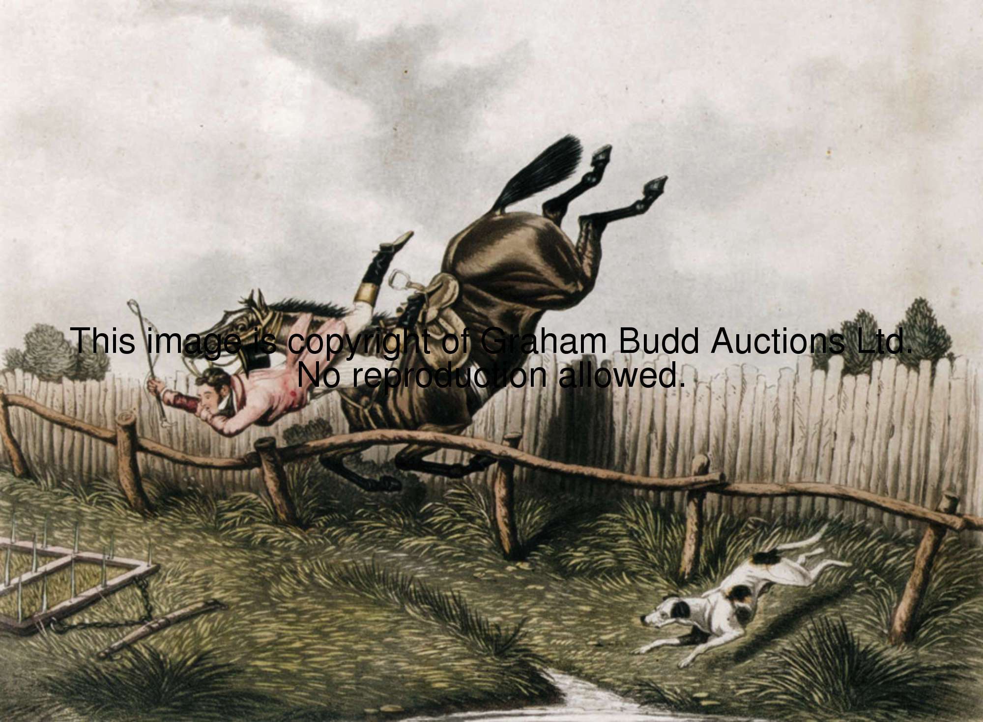 0001_WuYOzq.JPG
