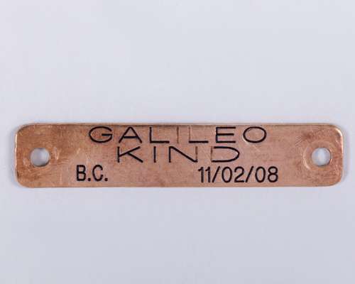 Frankel’s original yearling head collar nameplate