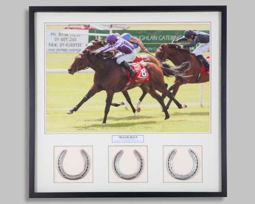 A trio of racing plates from Aidan O'Brien's 1-2-3 2011 Irish Derby won by Treasure Beach