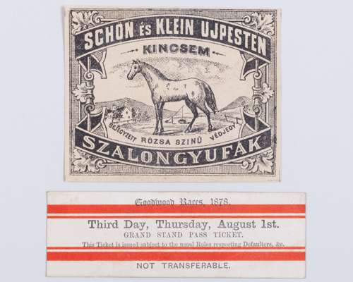 A ticket for Goodwood Races 1st August 1878 the day Kincsem won the Goodwood Cup