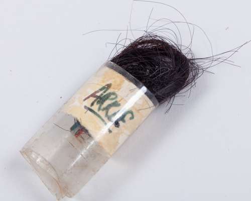 A lock of hair from the racehorse Arkle