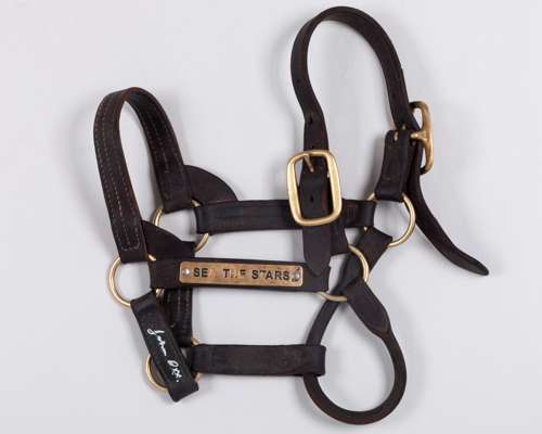 Head collar of the racehorse and stallion Sea The Stars