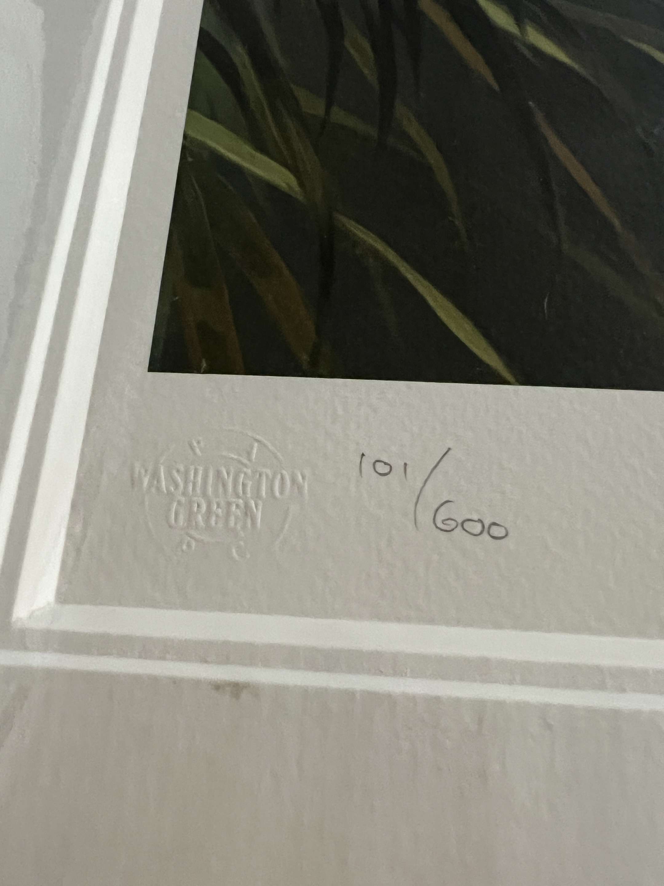 0002_qjcpgk.jpeg