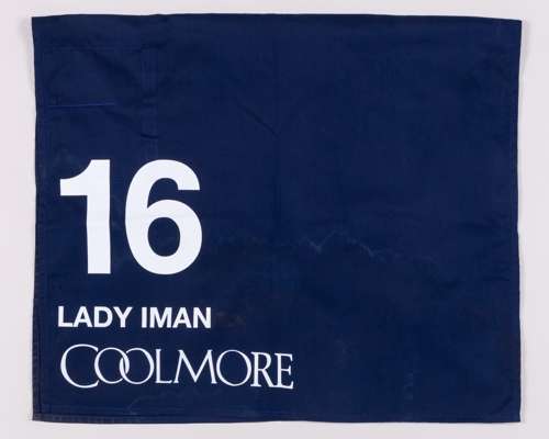 No.16 number cloth worn by Lady Iman in the 2025 Nunthorpe Stakes at York