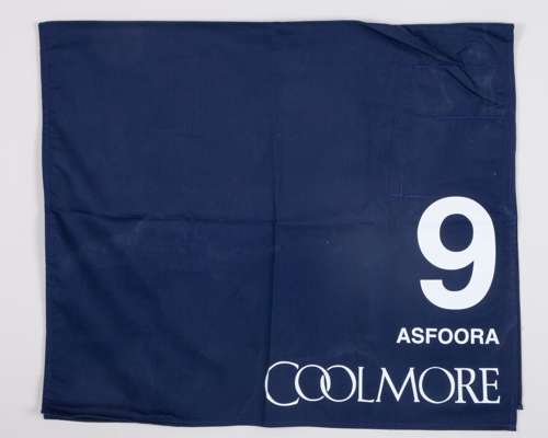 No.9 number cloth worn by Asfoora in the 2024 Coolmore Nunthorpe Stakes