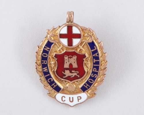 Pat Flanagan 9ct gold and enamel Norwich Hospital Cup Winners medal, 1907-08