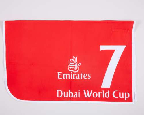 No.7 number cloth worn by the 2007 Dubai World Cup winner Invasor