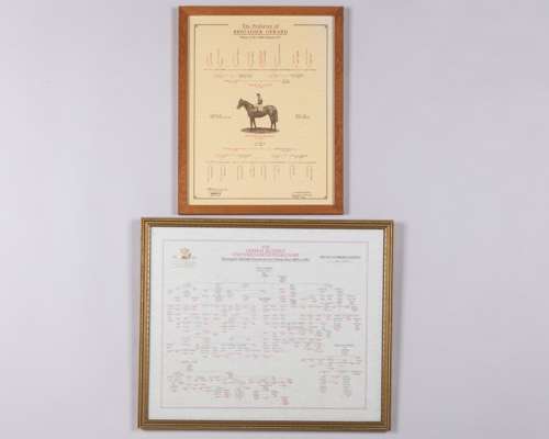 Two racehorse pedigree charts
