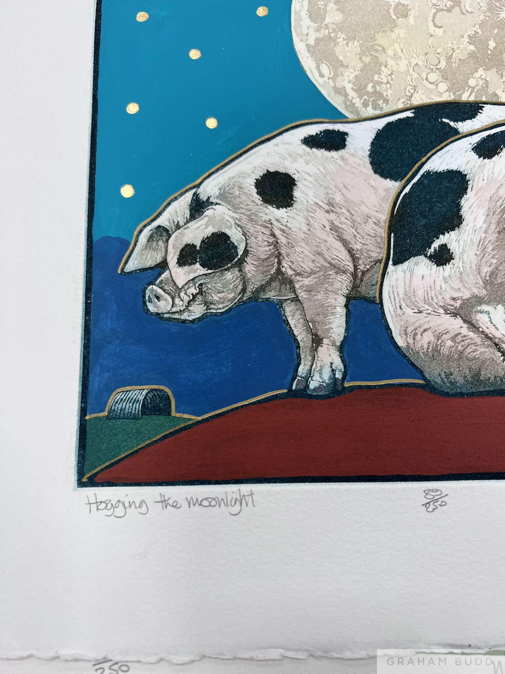0004_TODWyD.jpeg