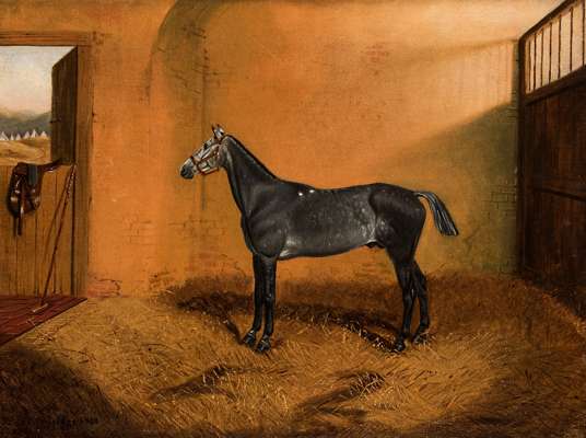 J C Partridge (19th century) DAPPLE GREY POLO PONY IN A STABLE, AN ARMY CAMP BEYOND signed and dated 1880, oil on canvas, 46 by 61cm., unframed