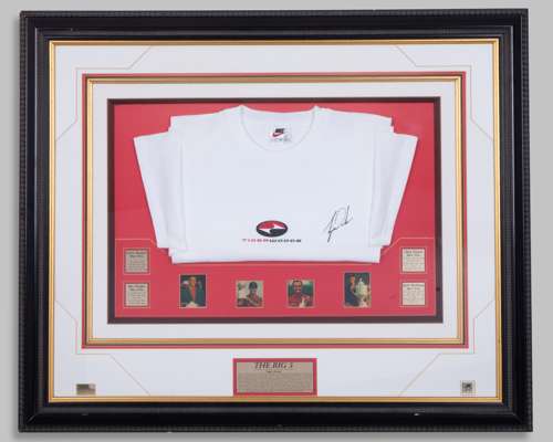 Tiger Woods The Big 5 Display